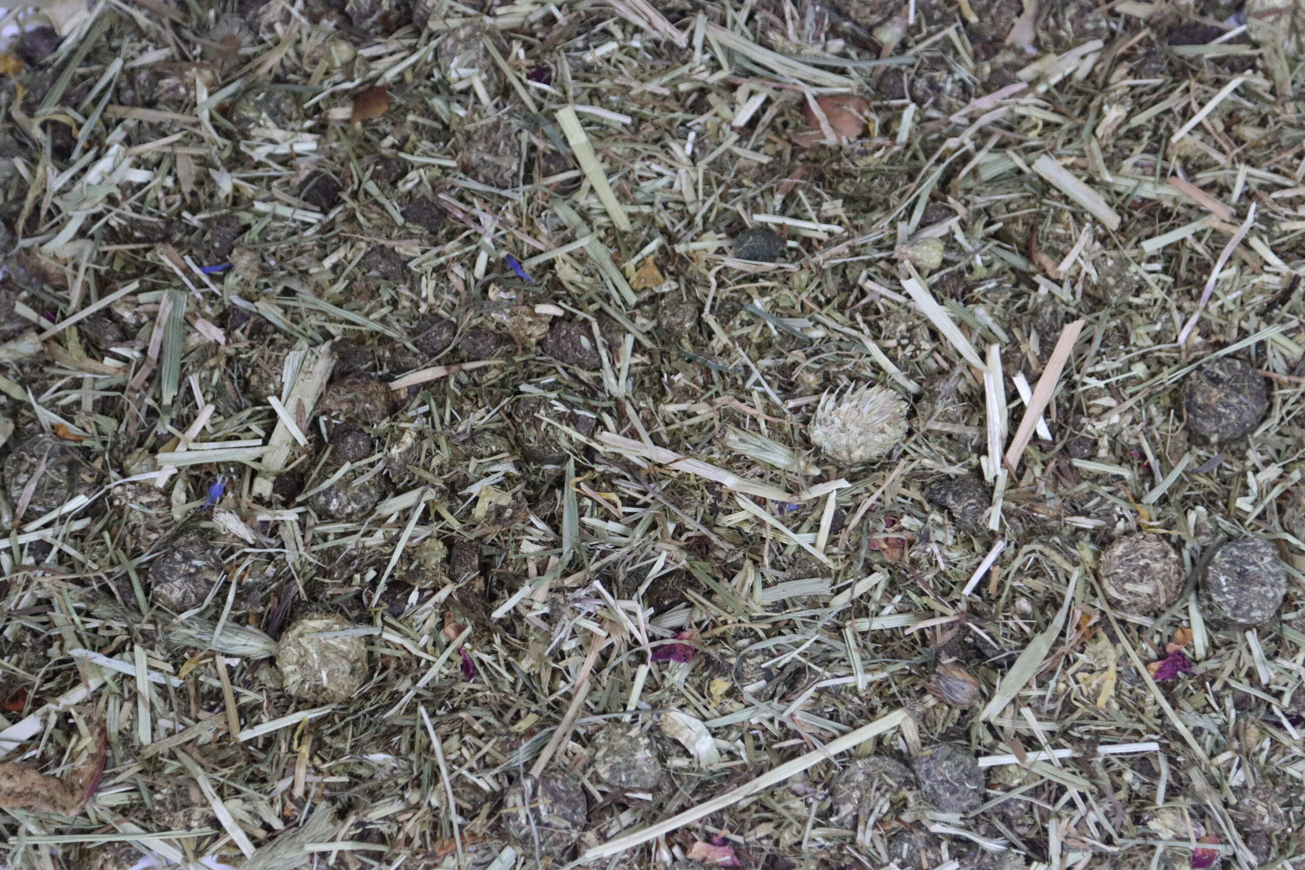 Basisvoeding 2kg - Afbeelding 2